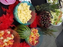 foto web-025